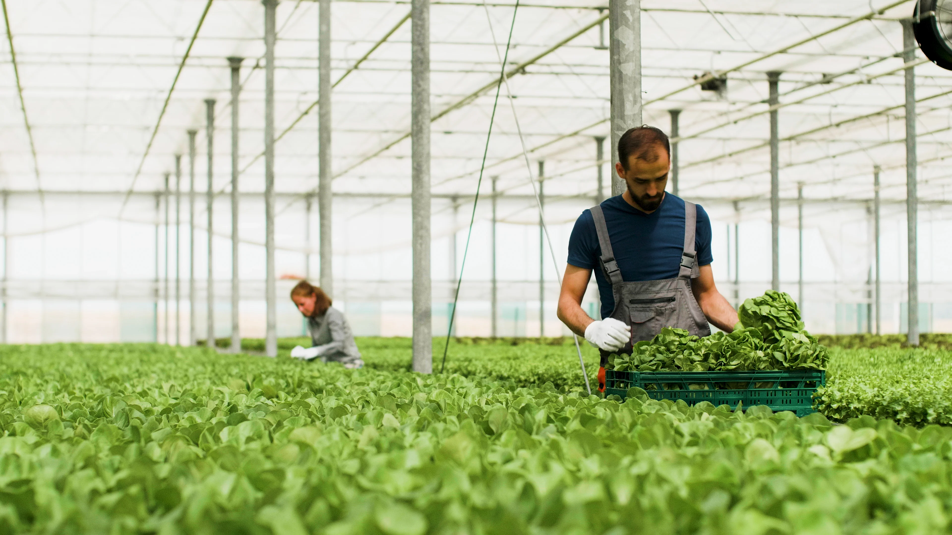 2023 Food Defense Vulnerability Assessment Worksheet — related inspection checklist template preview
