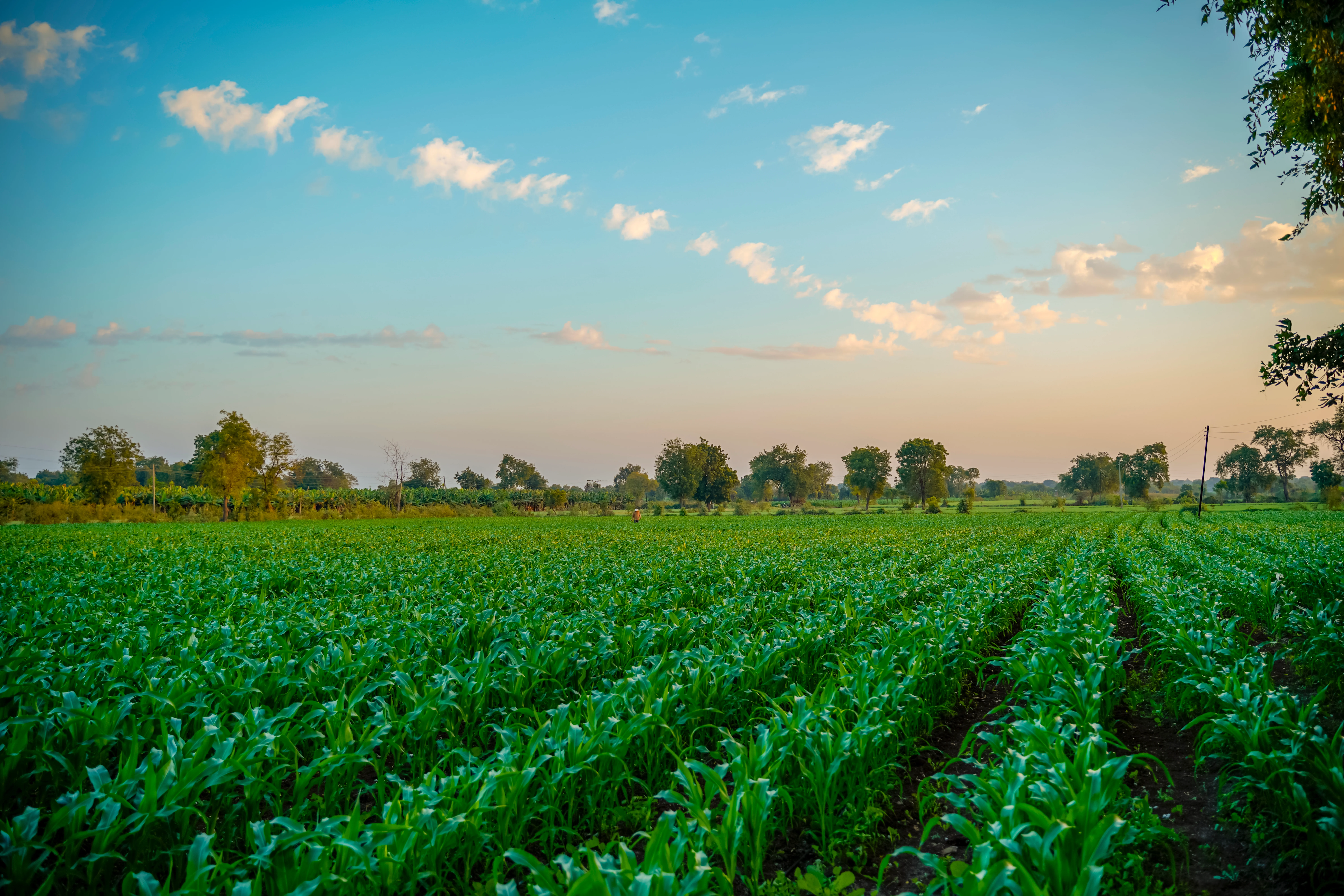 20 Observations for Fertiliser Warehouse Safety — related inspection checklist template preview