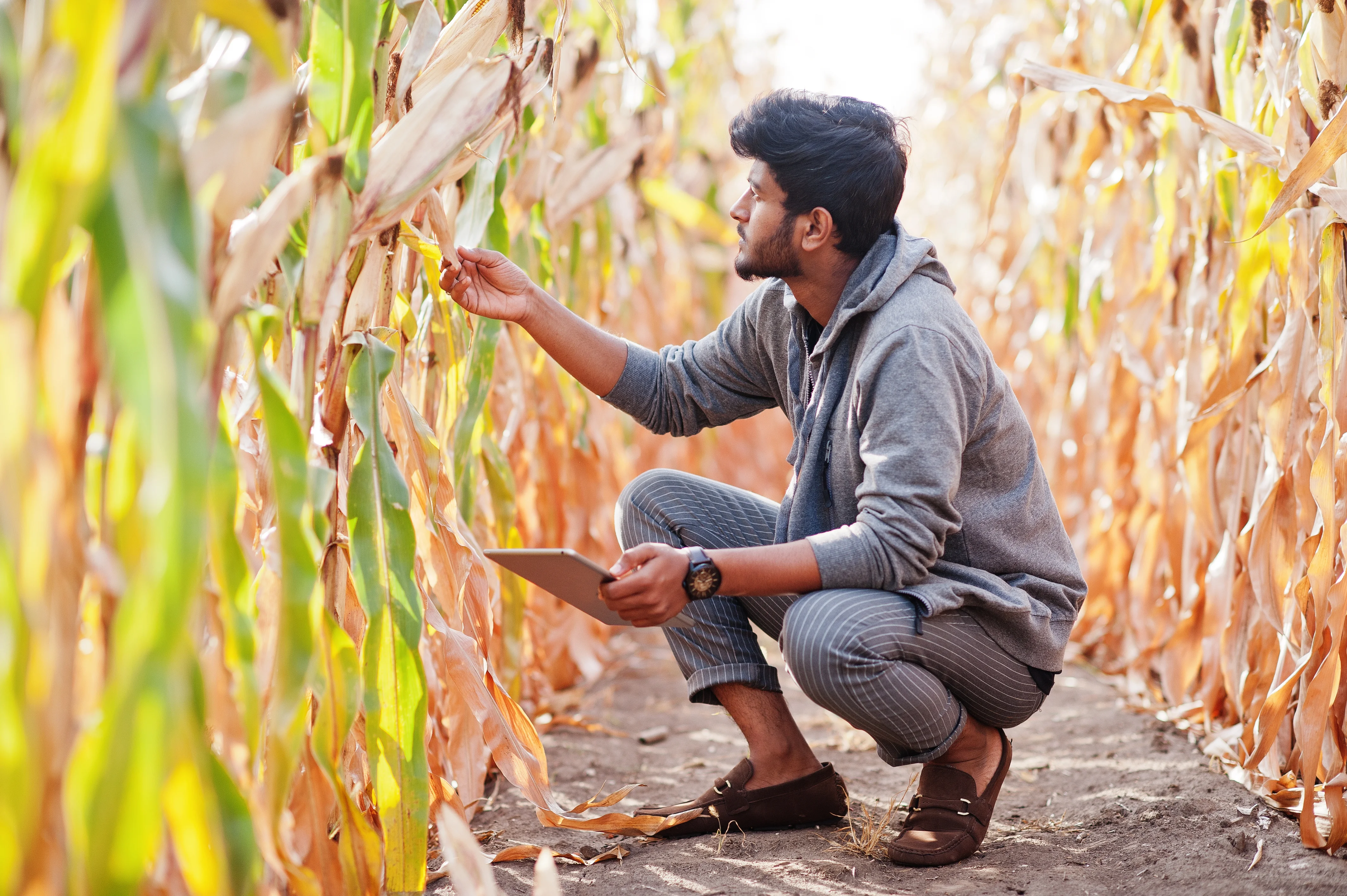 Agritech Field Inspection App preview
