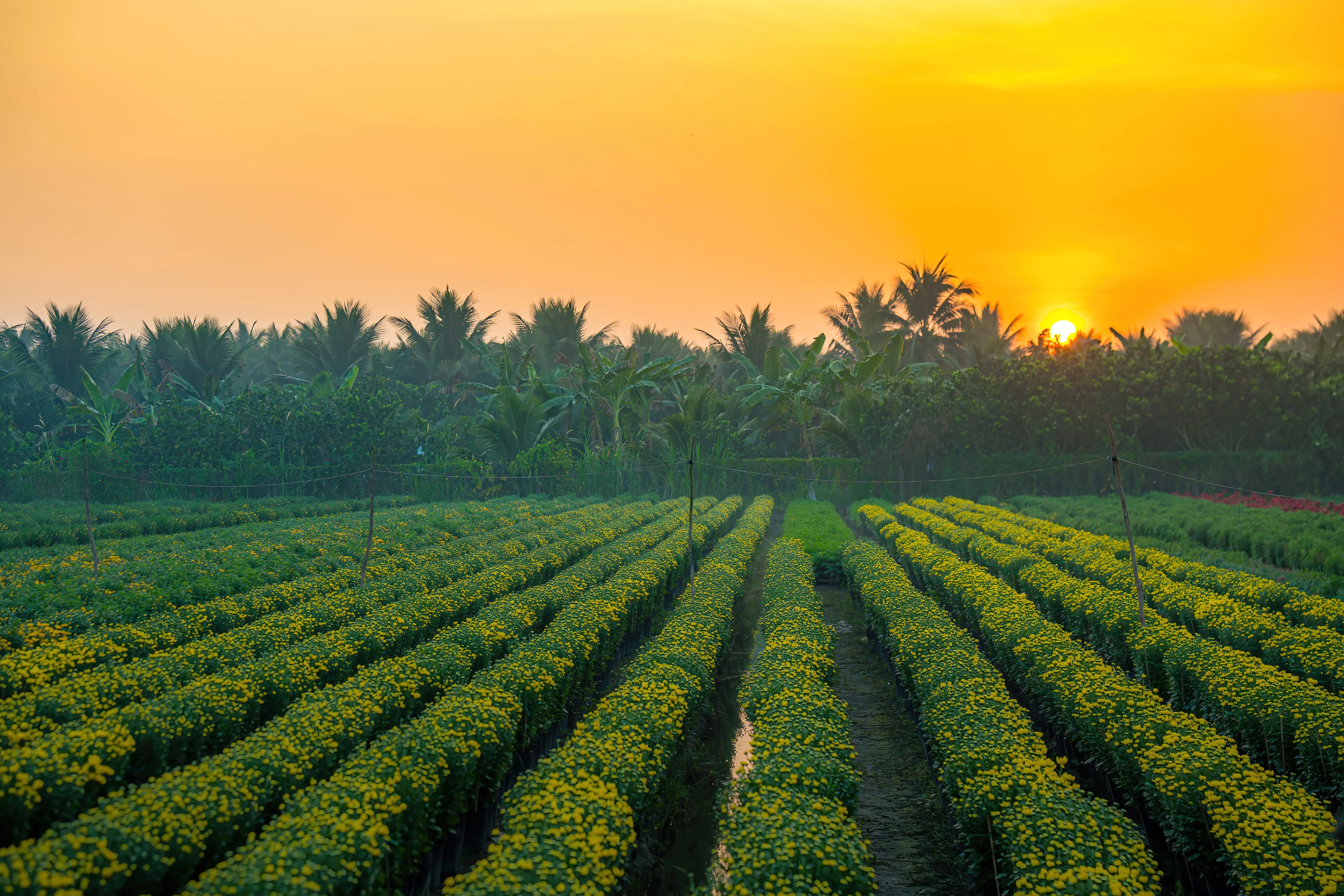 Fertiliser Application Log Audit Form