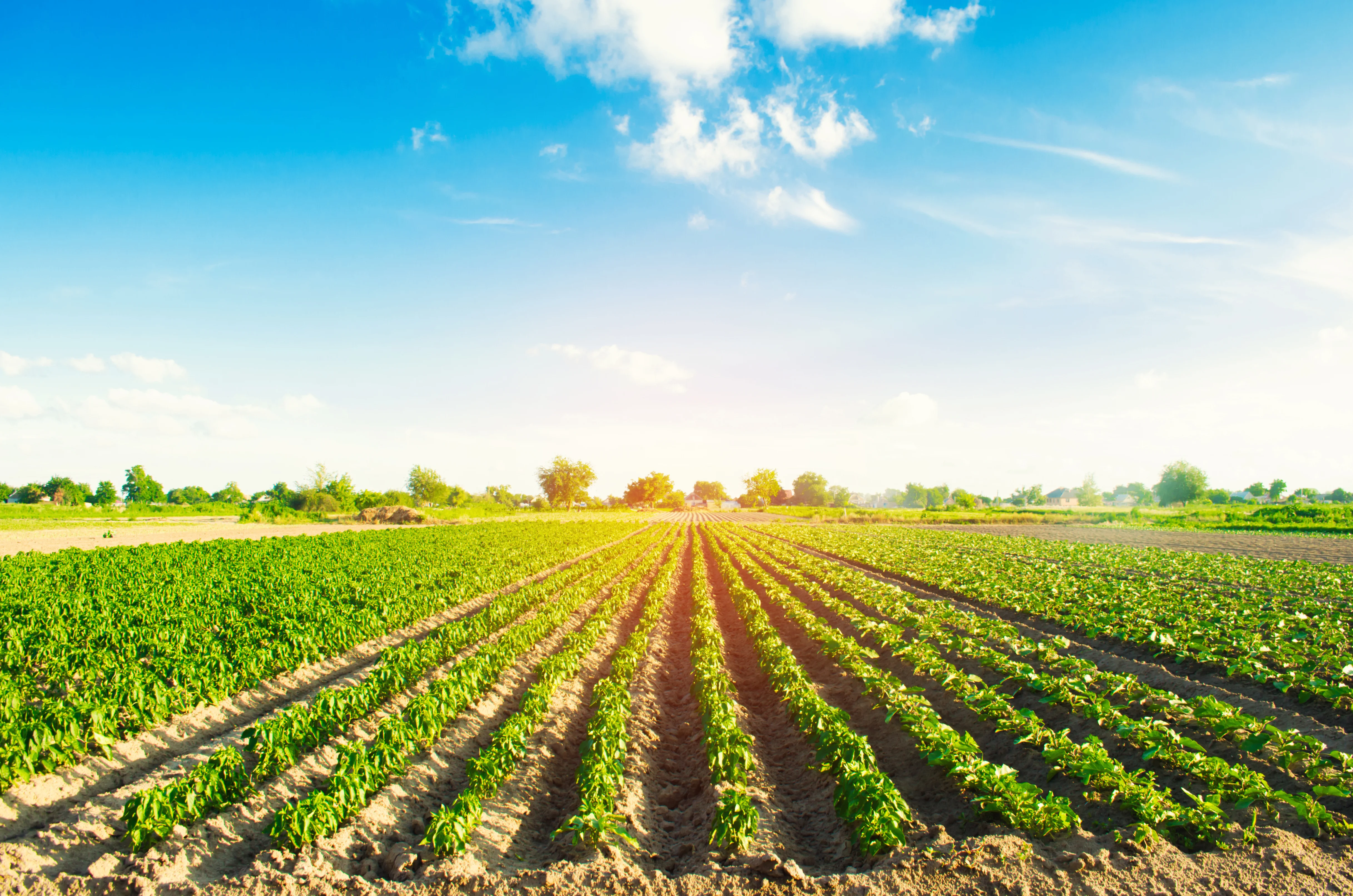 Agritech Monitoring App preview