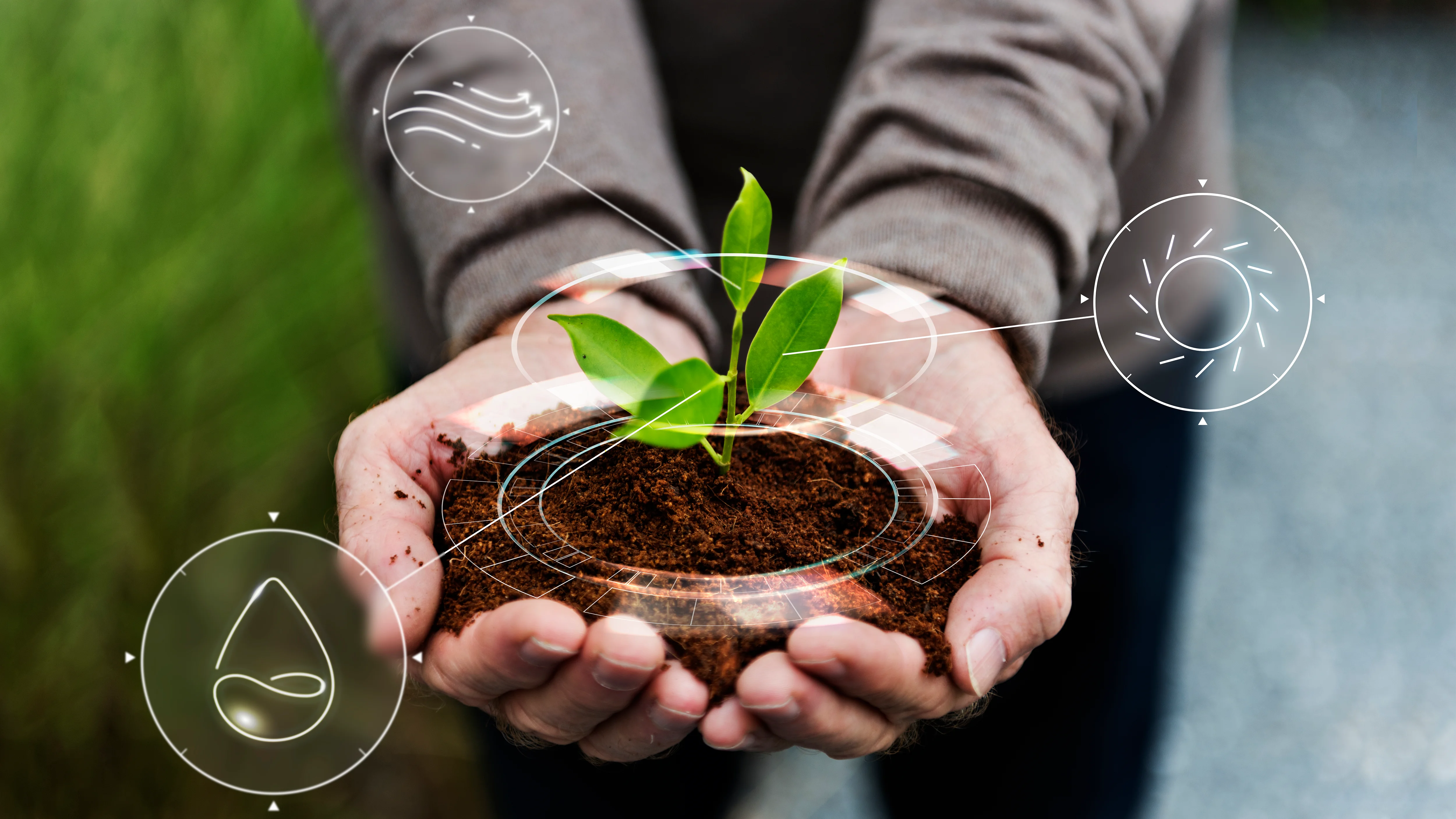 Environmental Impact Assessment Template