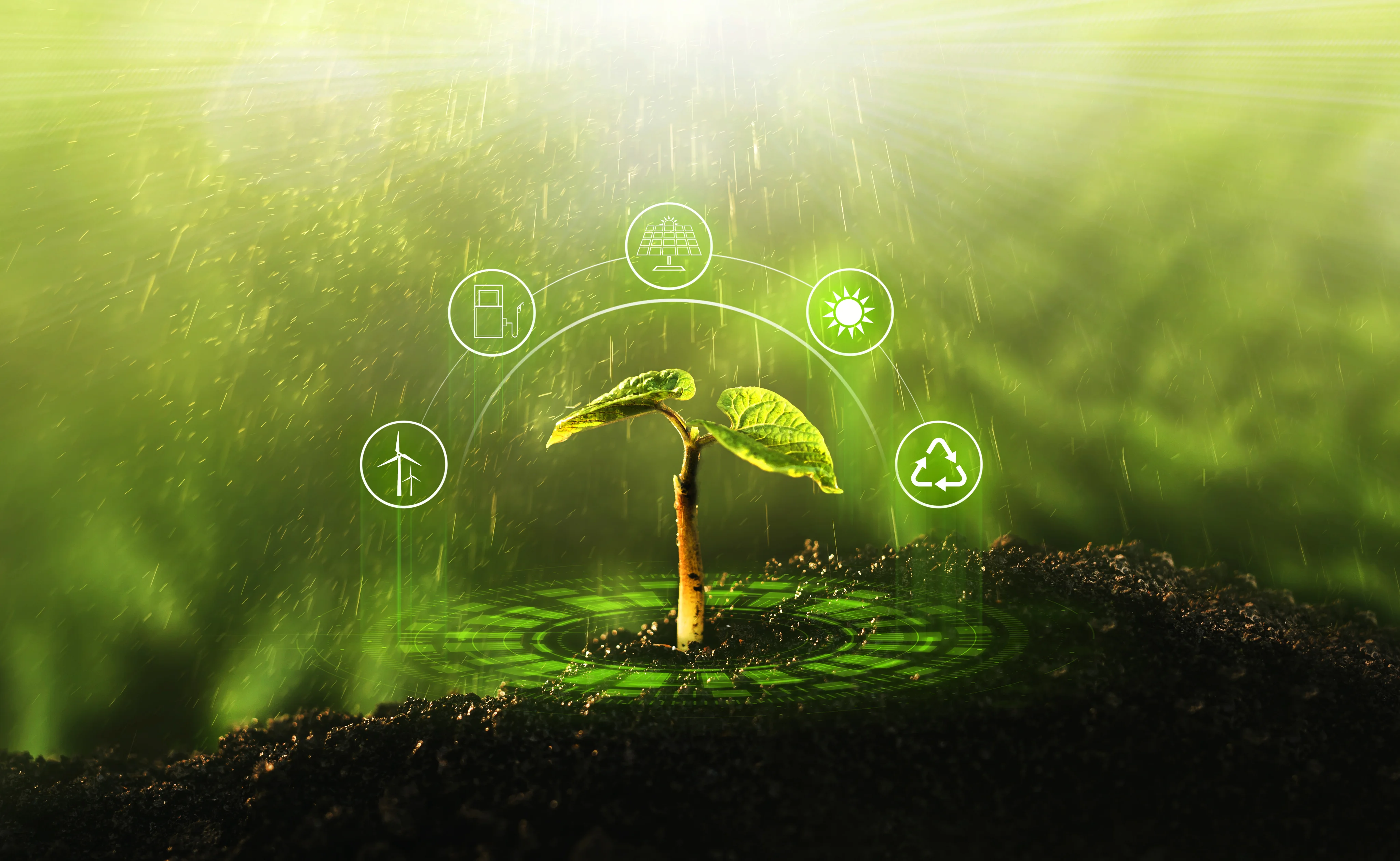 ISO 14001 Environmental Management System Audit Checklist