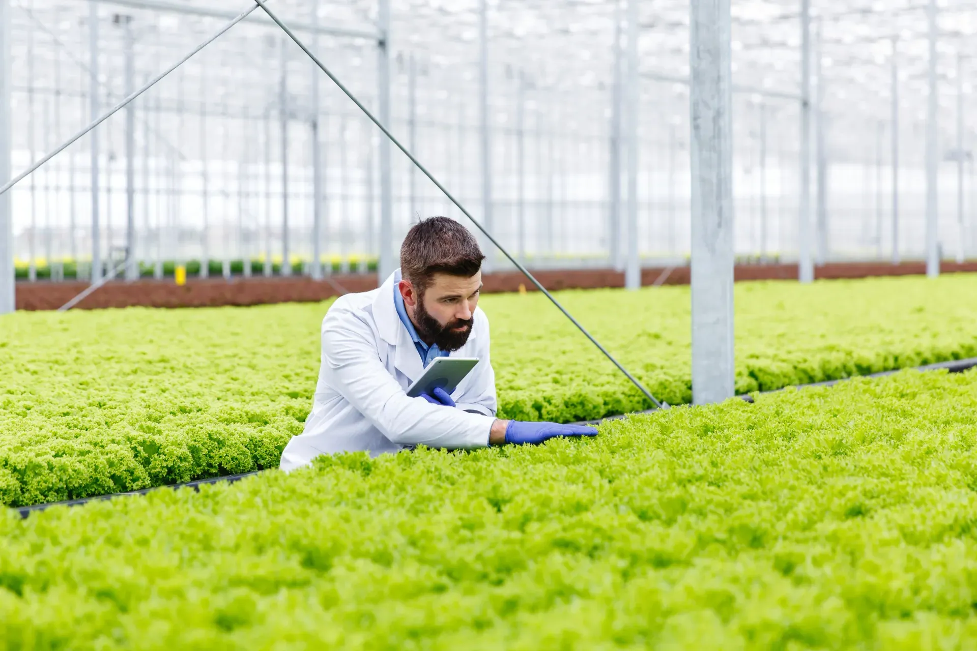 Fertiliser Application Log Record Form