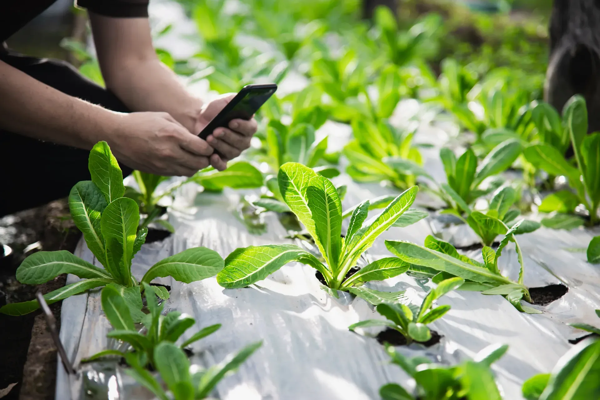 Agriculture and Agritech Audit App preview