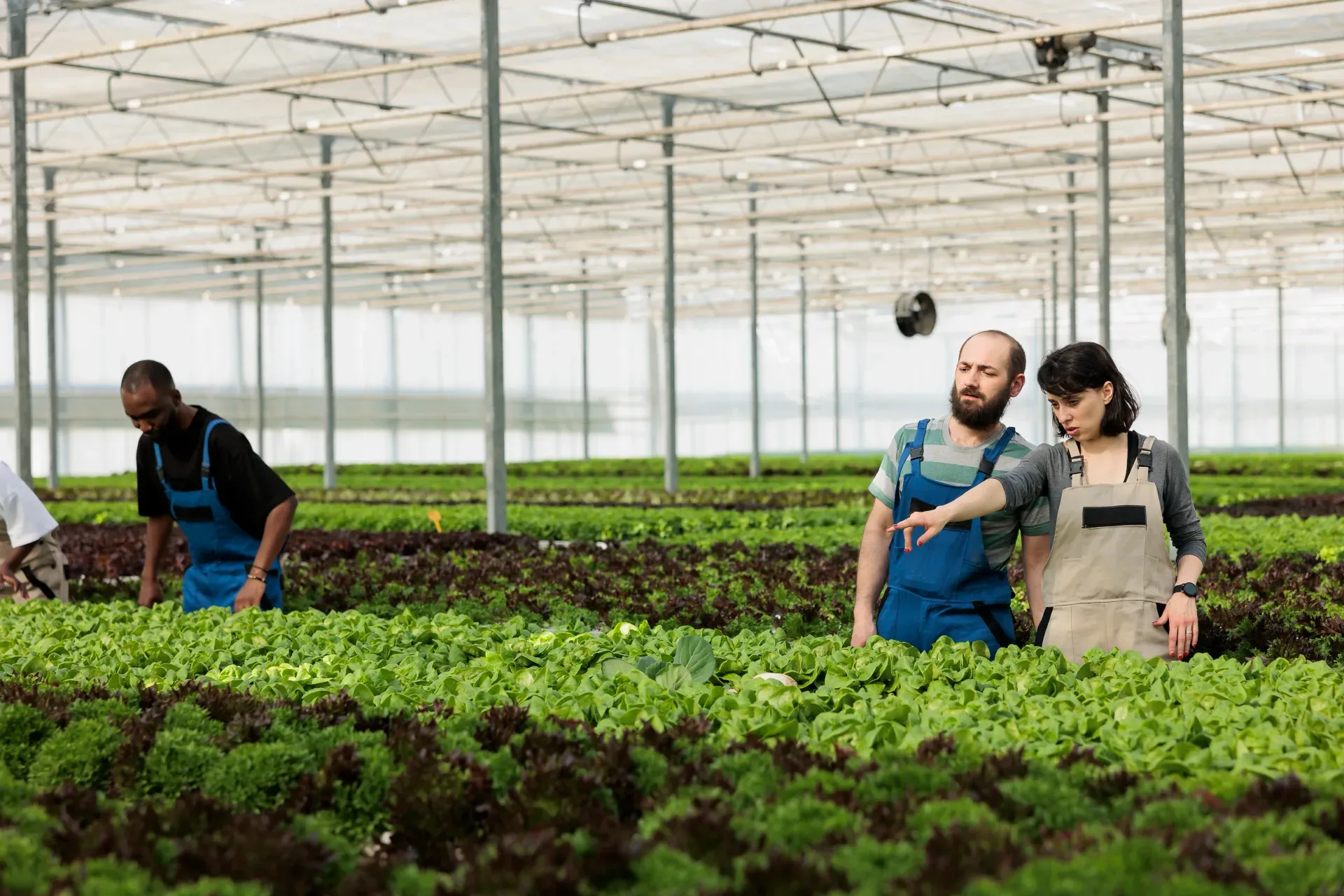 Agriculture and Agritech Asset Management App preview