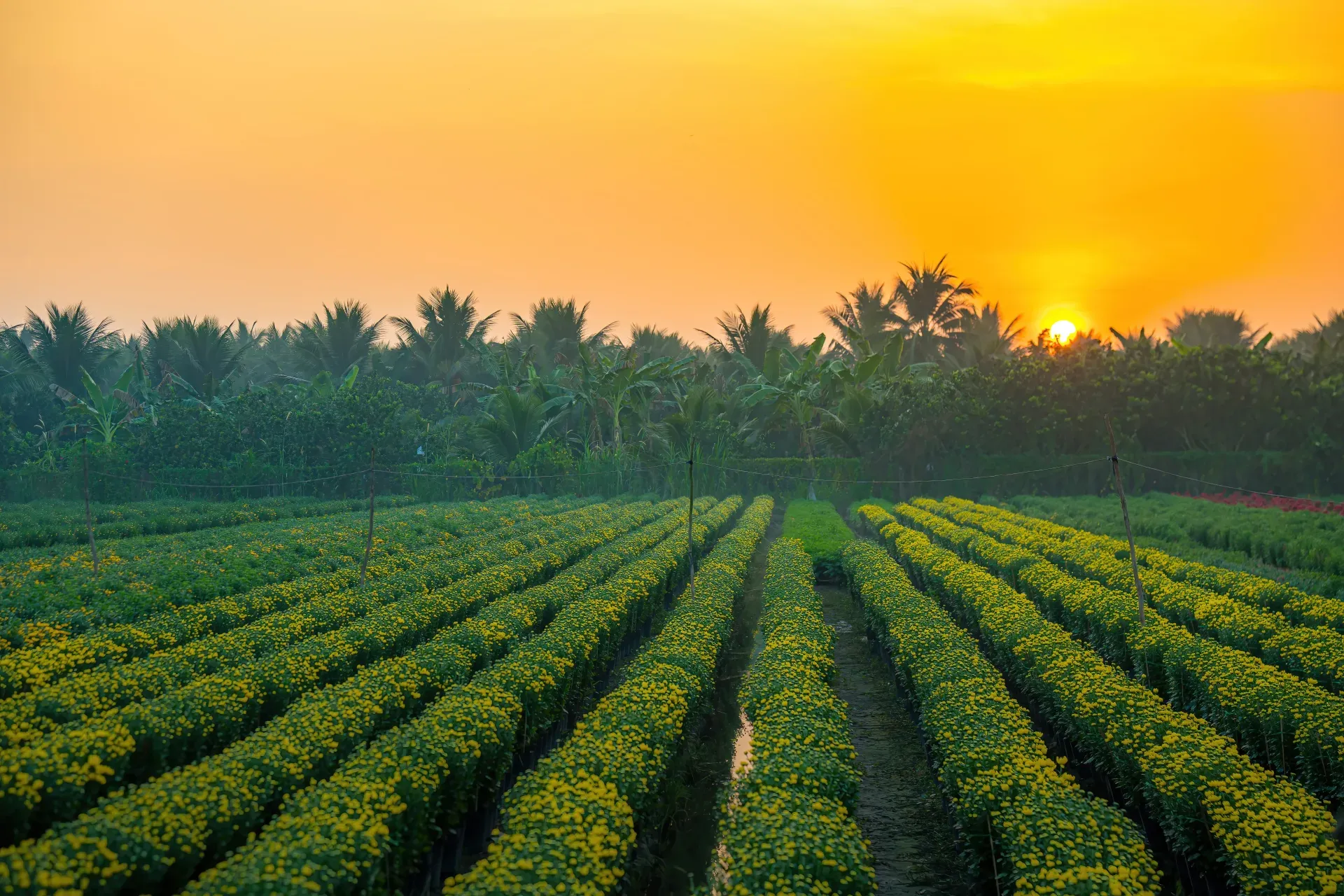 Fertiliser Application Log Audit Form