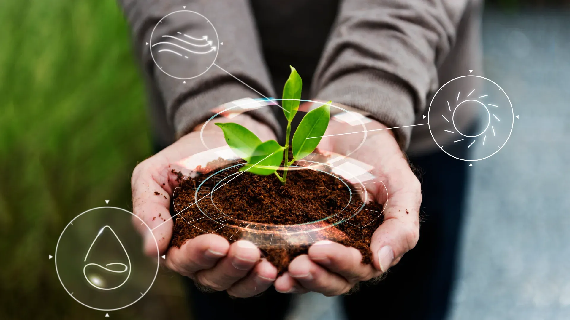 Environmental Impact Assessment Template