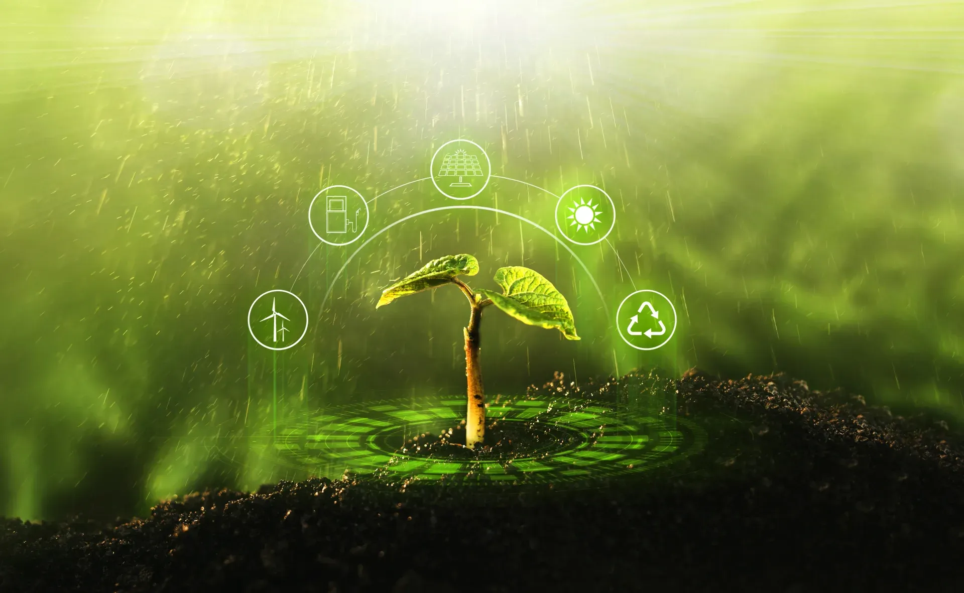 ISO 14001 Environmental Management System Audit Checklist