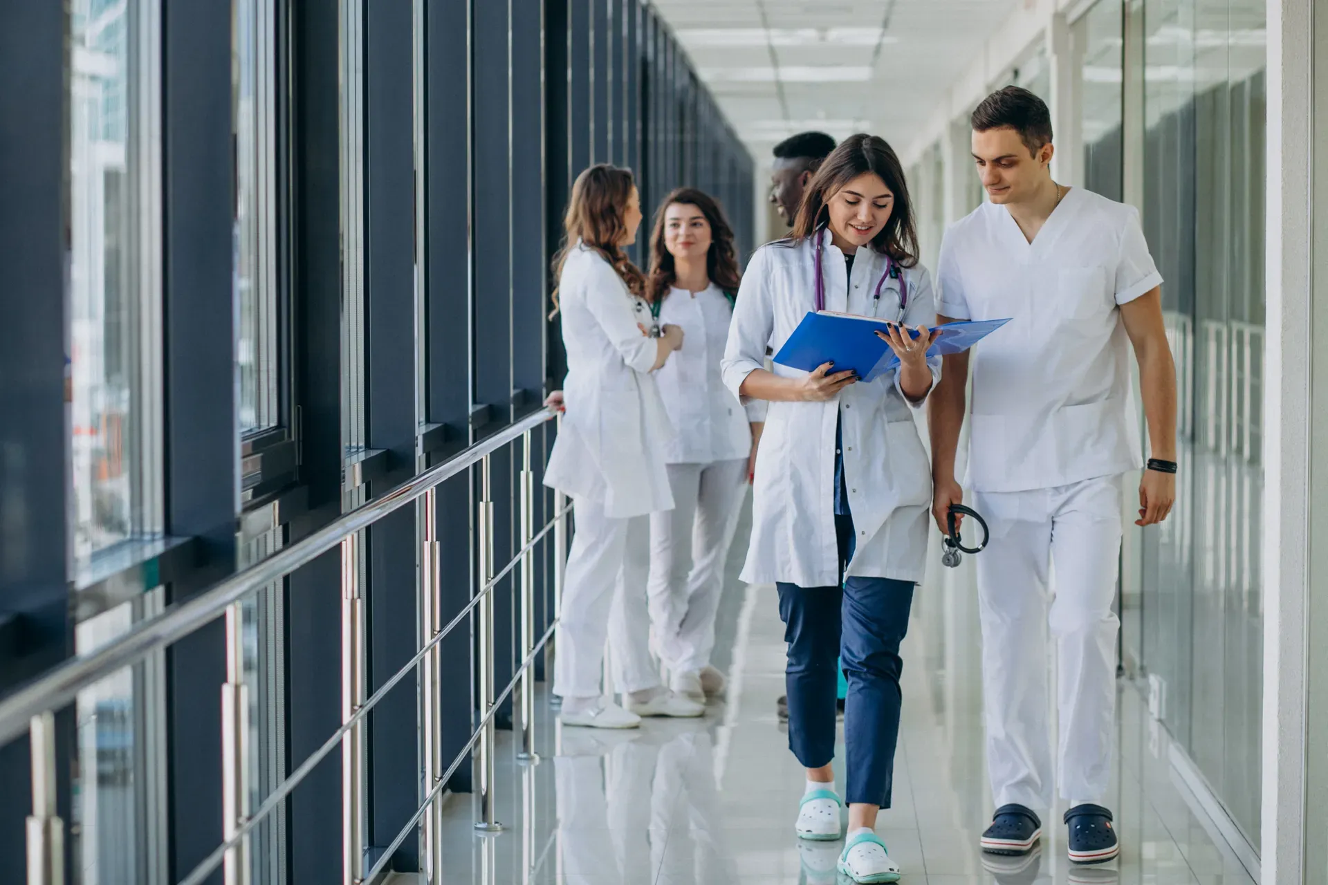Hospital Inspection App preview